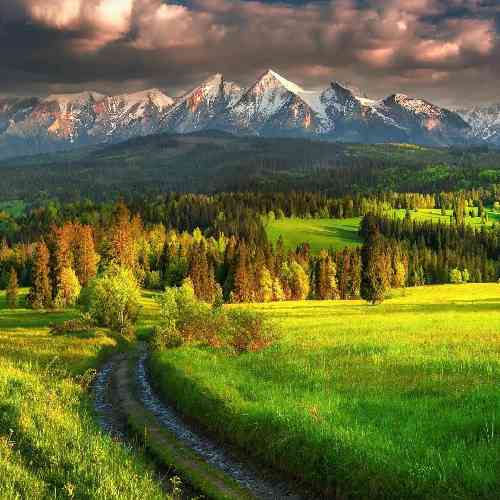  گرگ باش مث من مث ببر مث جغد تو پرسه‌های شب